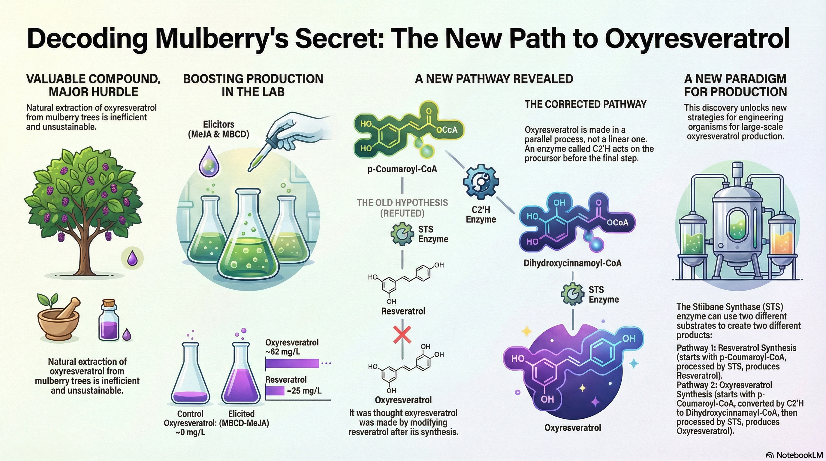 paper_oxy